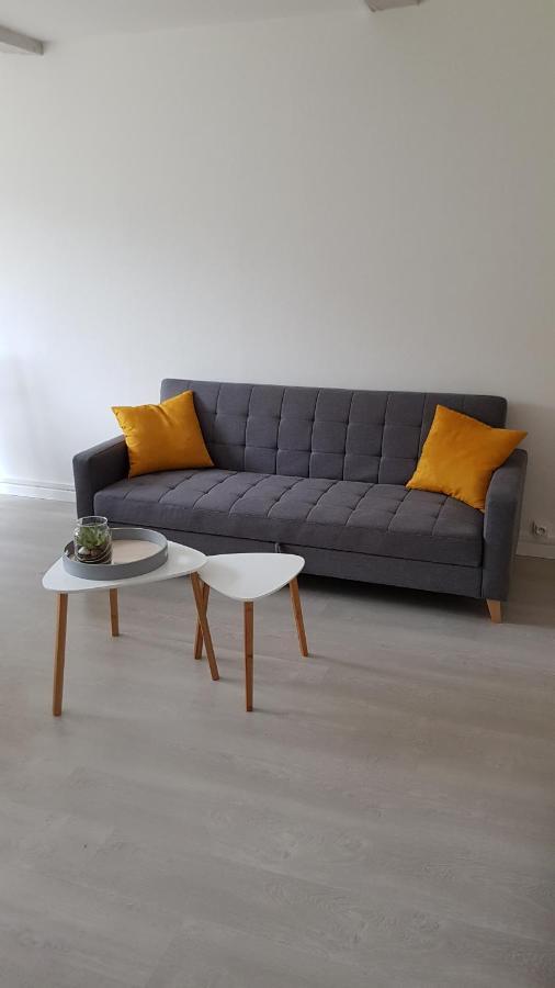 Appartement Avec Jardin Hyper Entre Valenciennes Kültér fotó